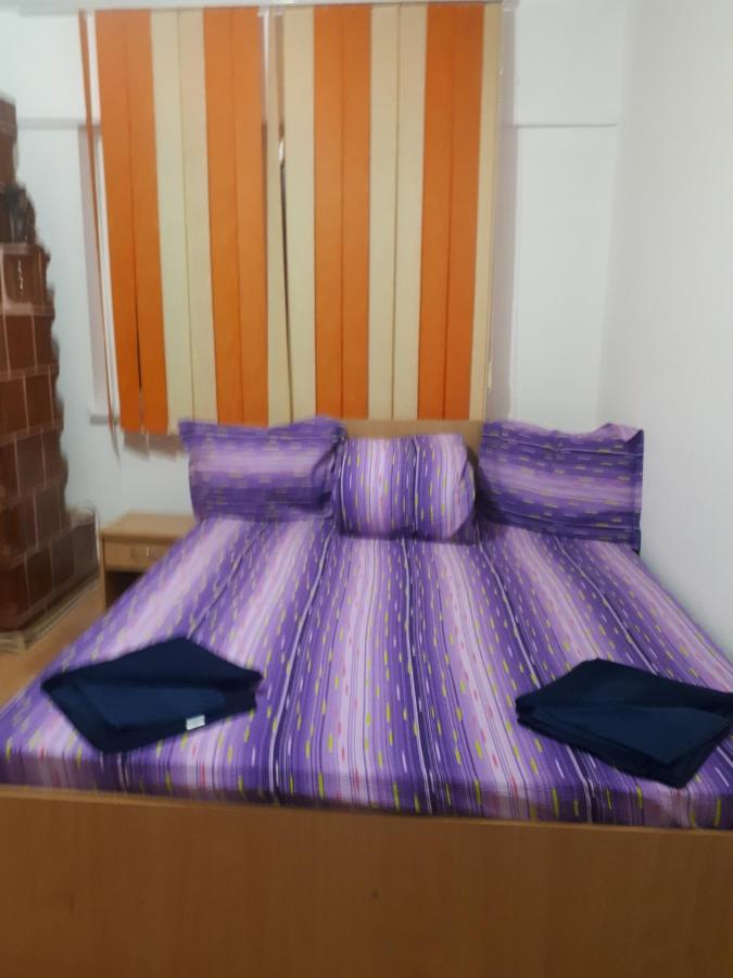 Apartament 2 Camere Semidecomandat "La Gicu" 술리나 외부 사진
